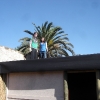 die beiden Helferinnen Linn und Mapi auf dem Dach